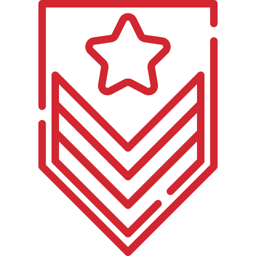 drone icon